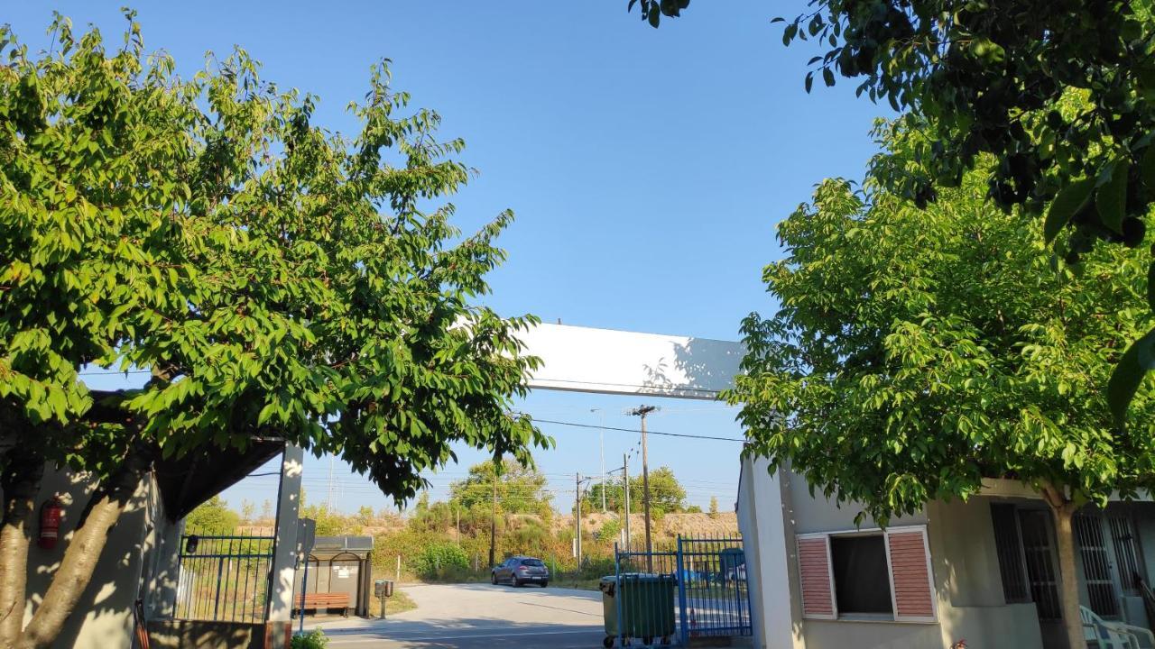 Camping Mitikas And Bungalows بلاكا ليتوشورو المظهر الخارجي الصورة